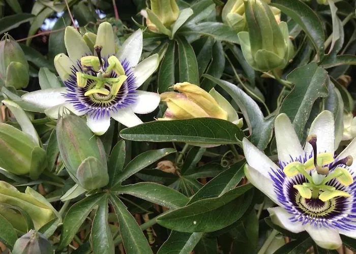 Apartment Lv360-307 Vue 4 Couchages