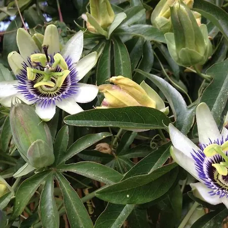 Appartement Lv360-307 Vue 4 Couchages