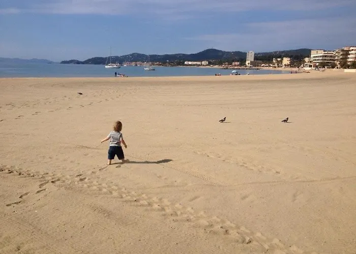 Lv360-307 Vue 4 Couchages Apartman Le Lavandou